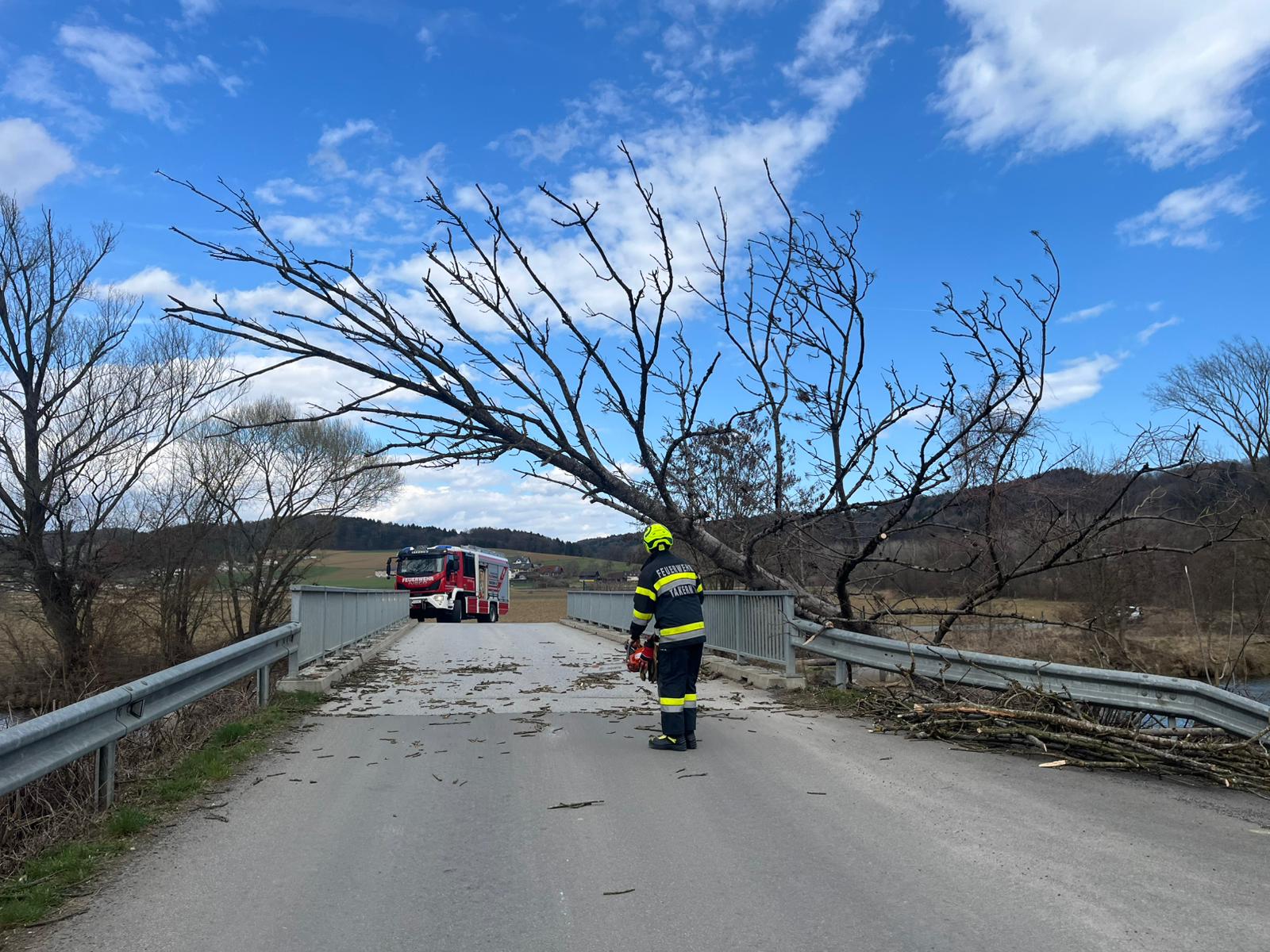 T01 Baum über Straße